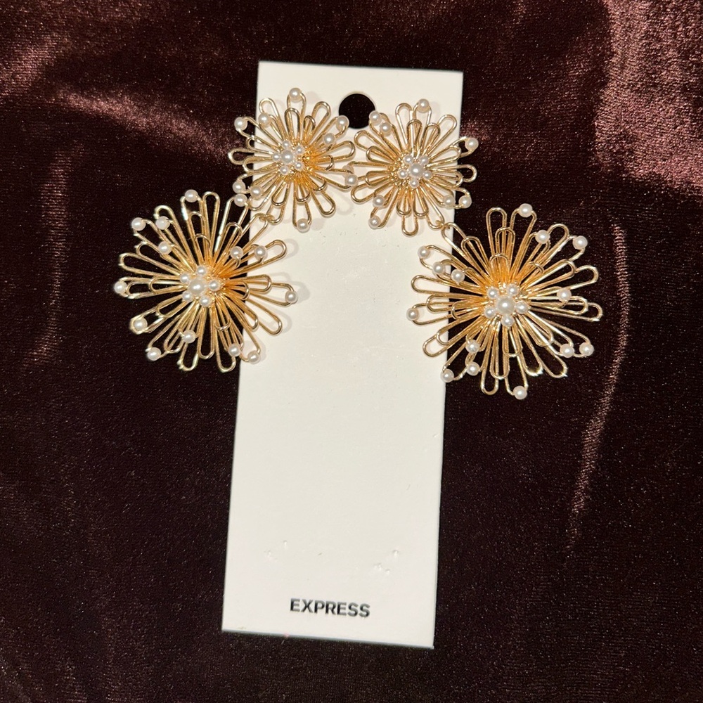 Express Earrings - Picture 3 of 6